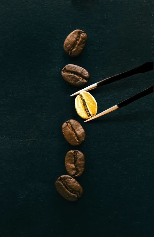 Gouden koffieboon tussen donkere koffiebonen, vastgehouden met een pincet